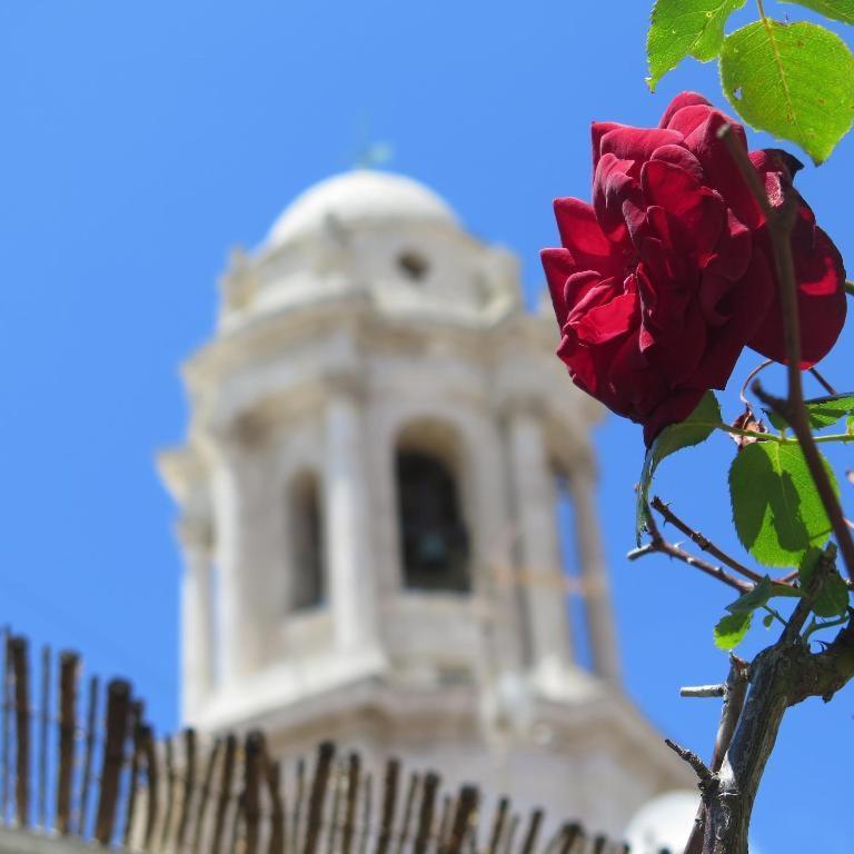 Casa Caracol Hostel Cadiz Bagian luar foto